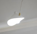 Multi-Arm Spider Ceiling Lamp B