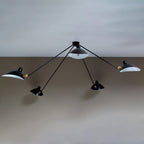 Multi-Arm Spider Ceiling Lamp B