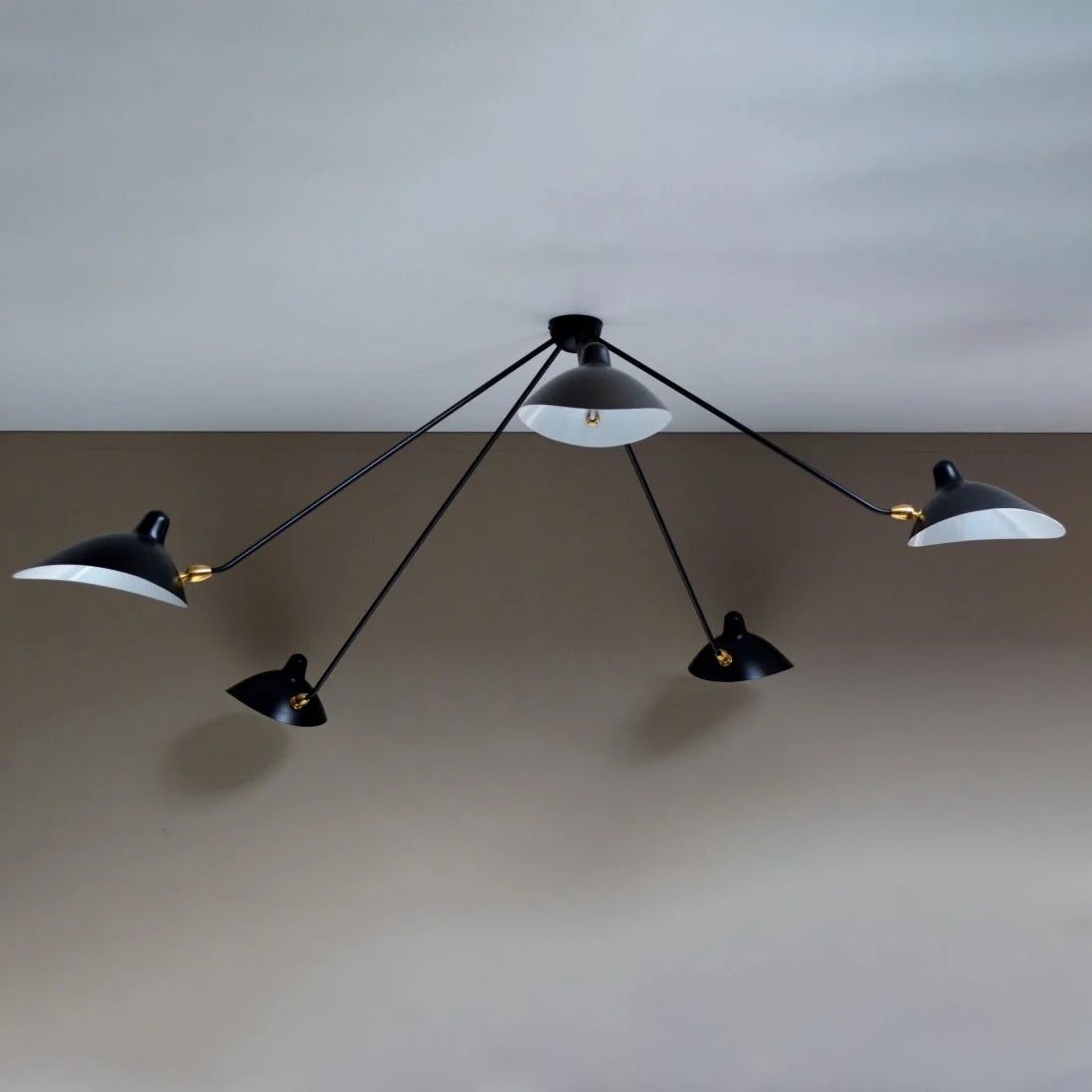 Multi-Arm Spider Ceiling Lamp B