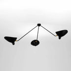 Multi-Arm Spider Ceiling Lamp B