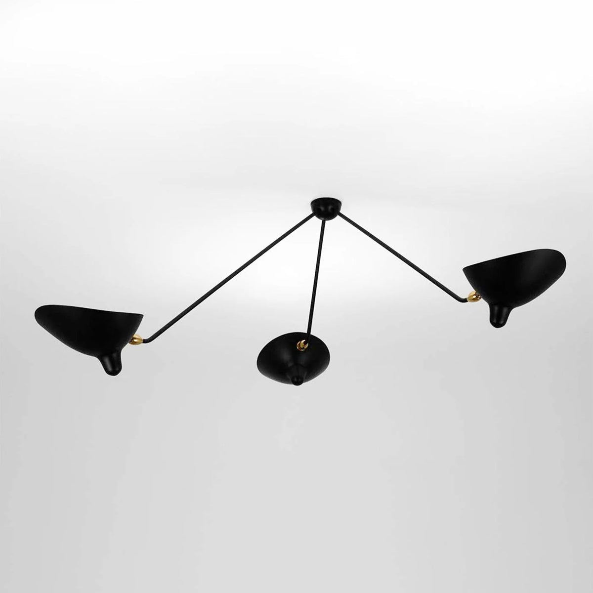 Multi-Arm Spider Ceiling Lamp B