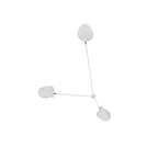 Multi-Arm Spider Ceiling Lamp B