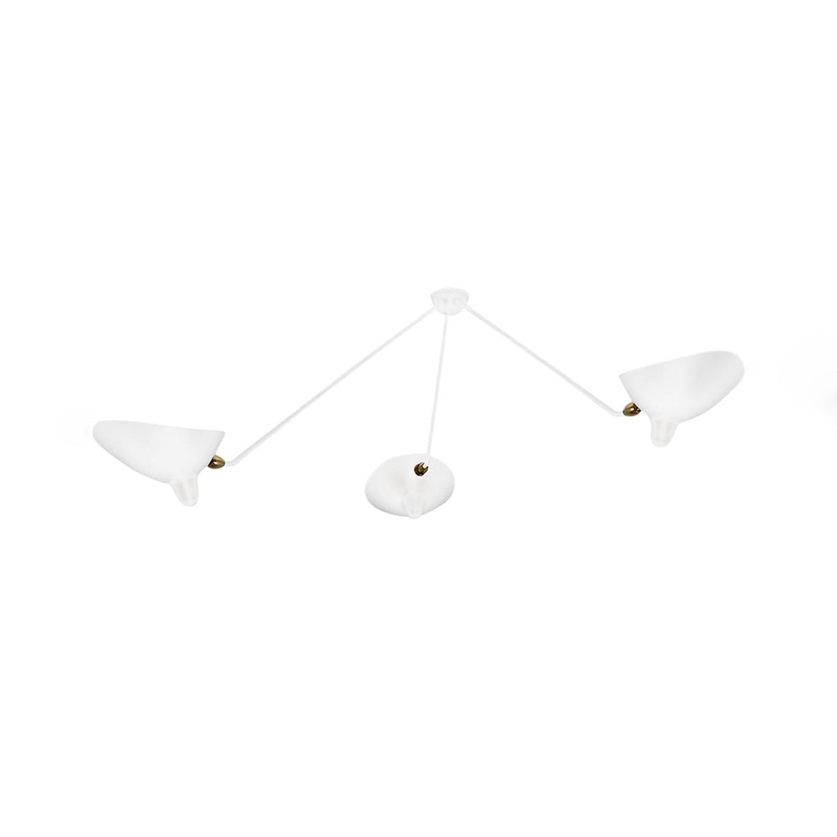 Multi-Arm Spider Ceiling Lamp B