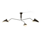Multi-Arm Spider Ceiling Light A