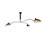 Multi-Arm Spider Ceiling Light A