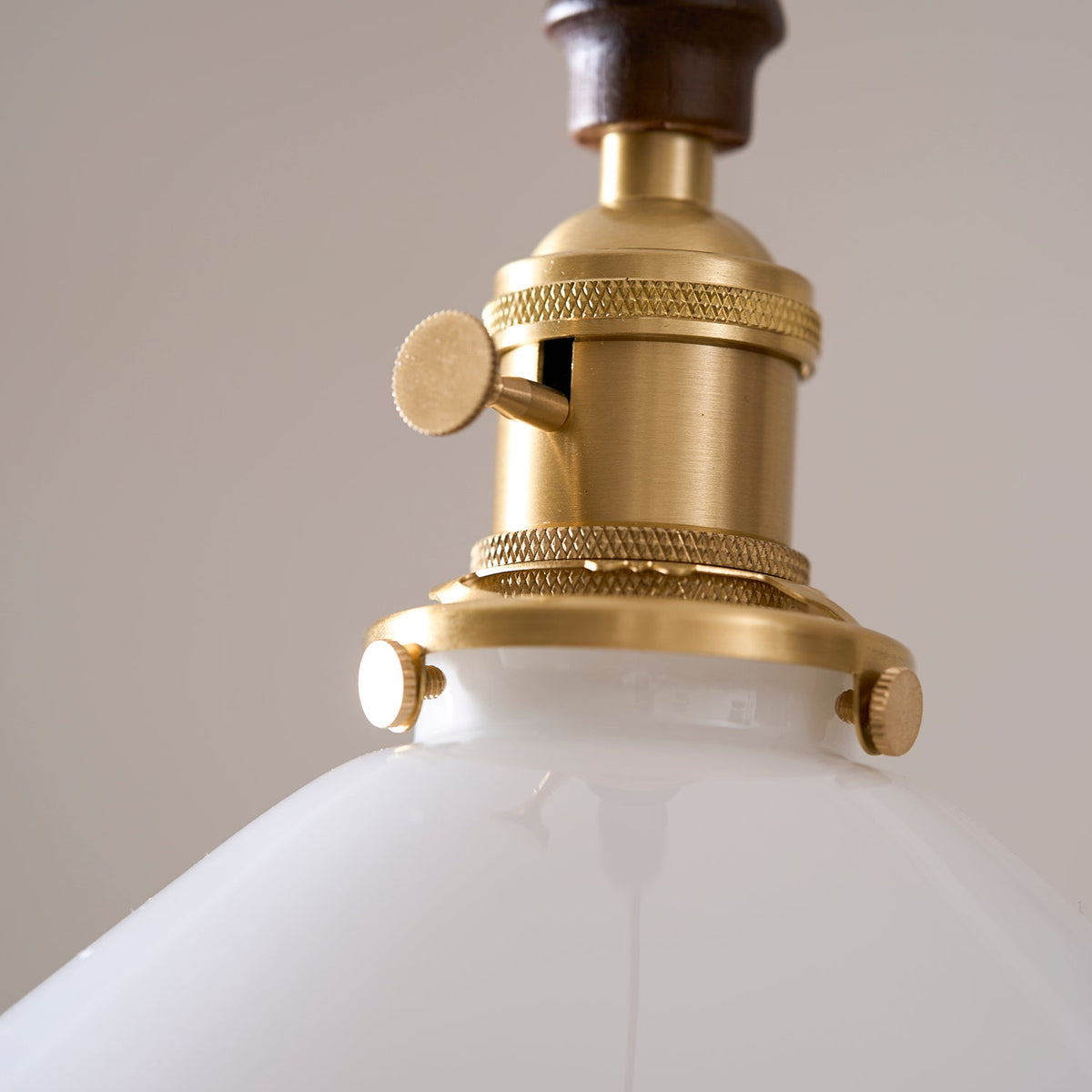 Flower Petals Swag Pendant Lamp