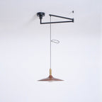 Crane Swing Arm Pendant Lamp