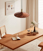 Crane Swing Arm Pendant Lamp