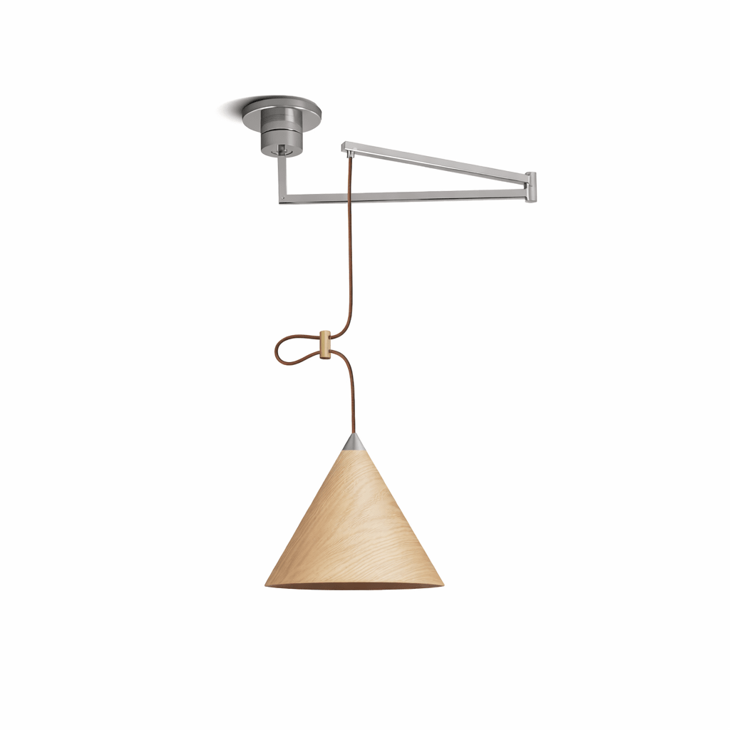 Axion Swing Pendant Lamp