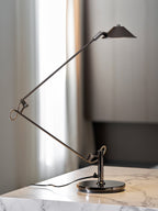 Adjustable Black Office Task Lamp