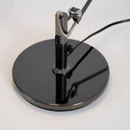 Adjustable Black Office Task Lamp