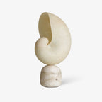 Lumora Shell Table Lamp