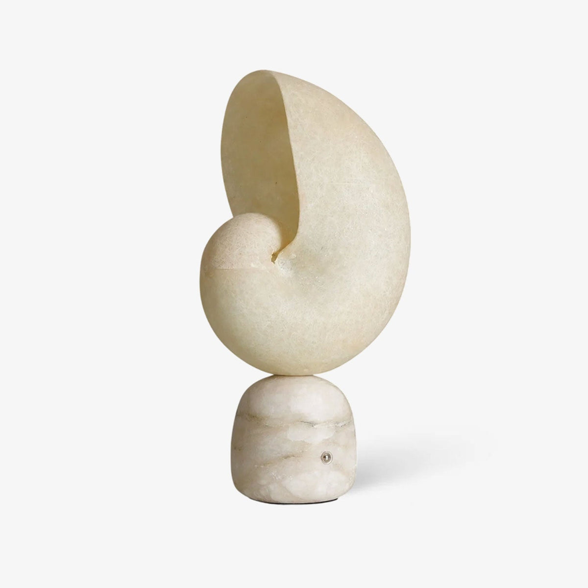 Lumora Shell Table Lamp