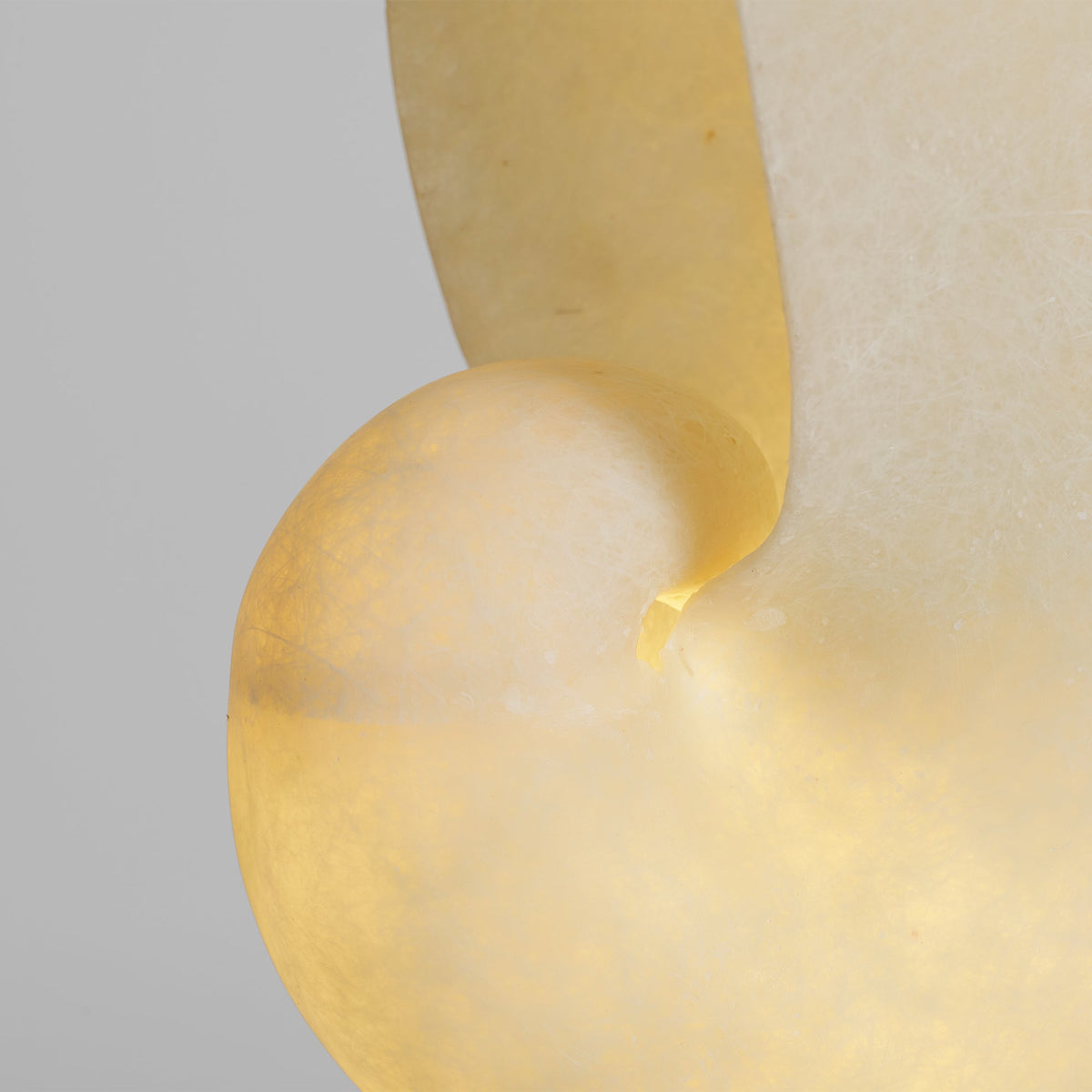 Lumora Shell Table Lamp