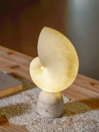 Lumora Shell Table Lamp