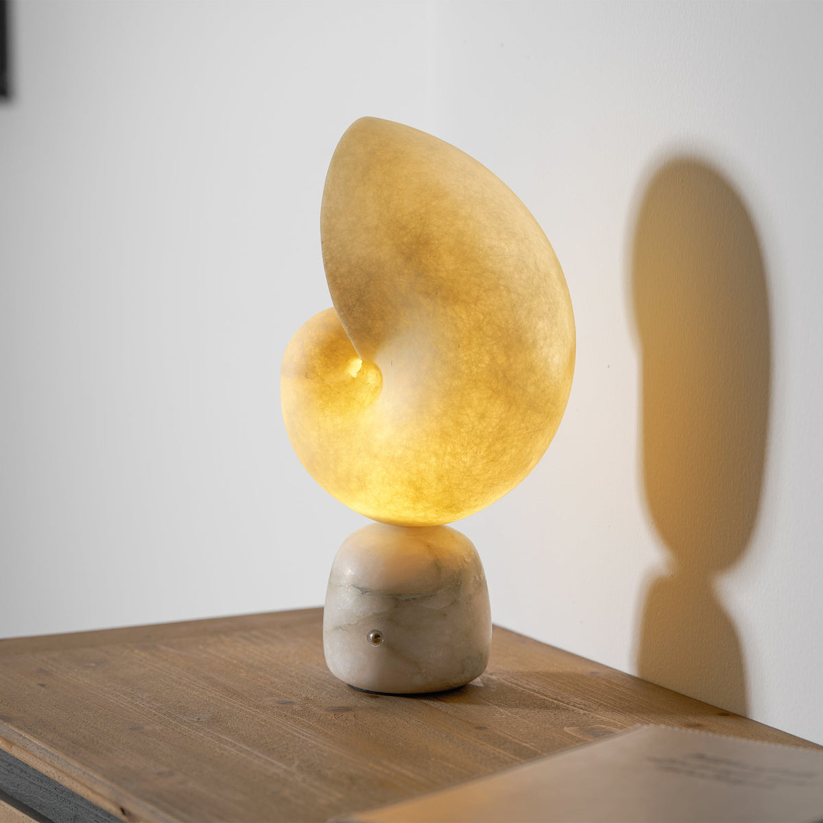 Lumora Shell Table Lamp