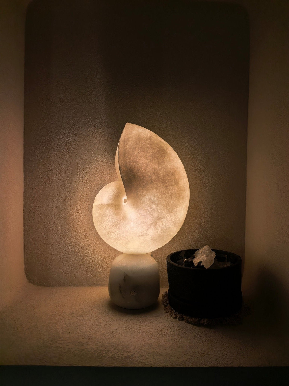 Lumora Shell Table Lamp