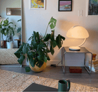 Arc Dome Table Lamp