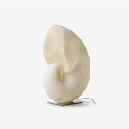 Conch Bloom Lamp