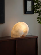 Conch Bloom Lamp
