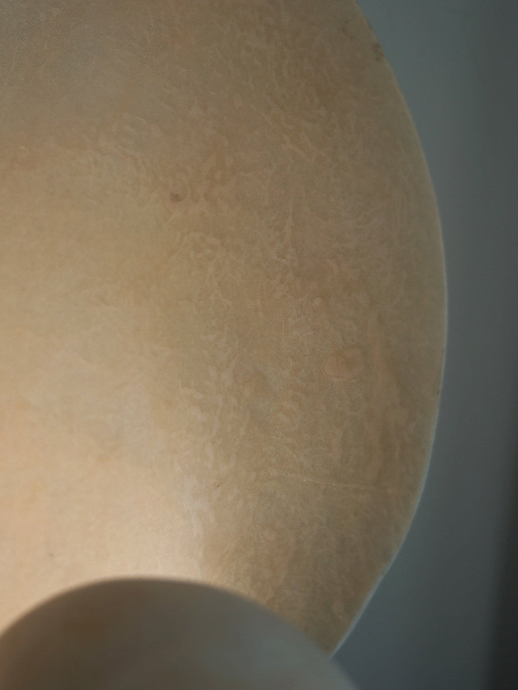 Conch Bloom Lamp