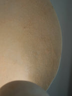 Conch Bloom Lamp