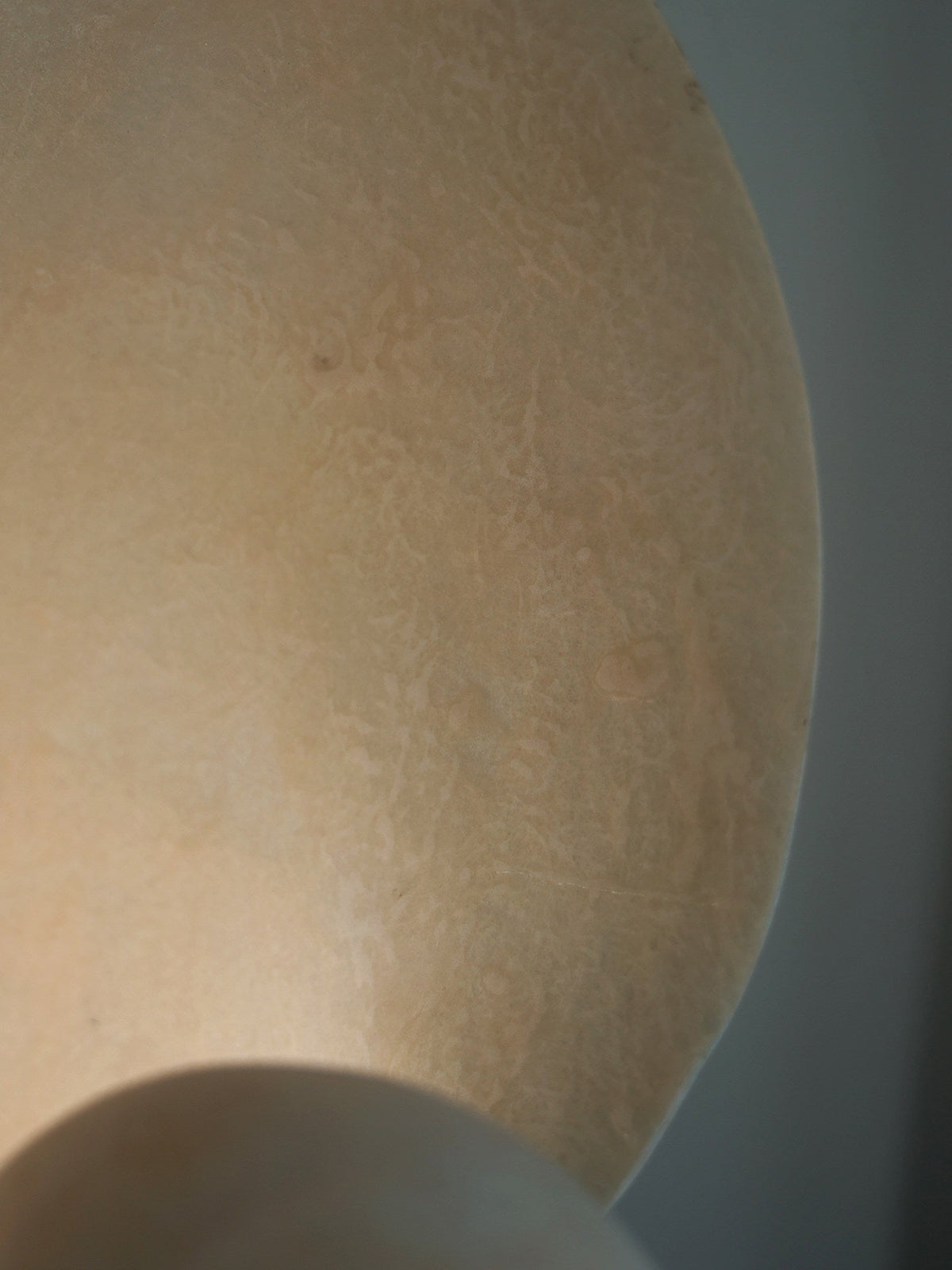 Conch Bloom Lamp
