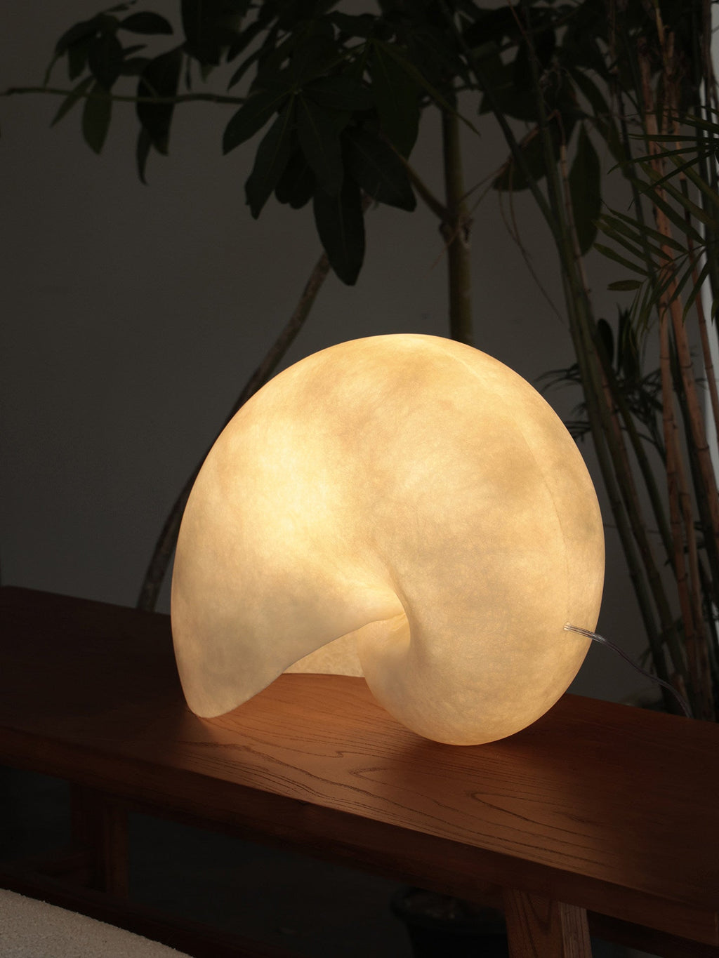Conch Bloom Lamp