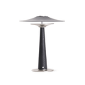 Kizu Peak Table Lamp