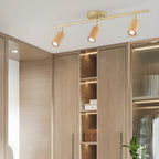 Rowan Ceiling Light