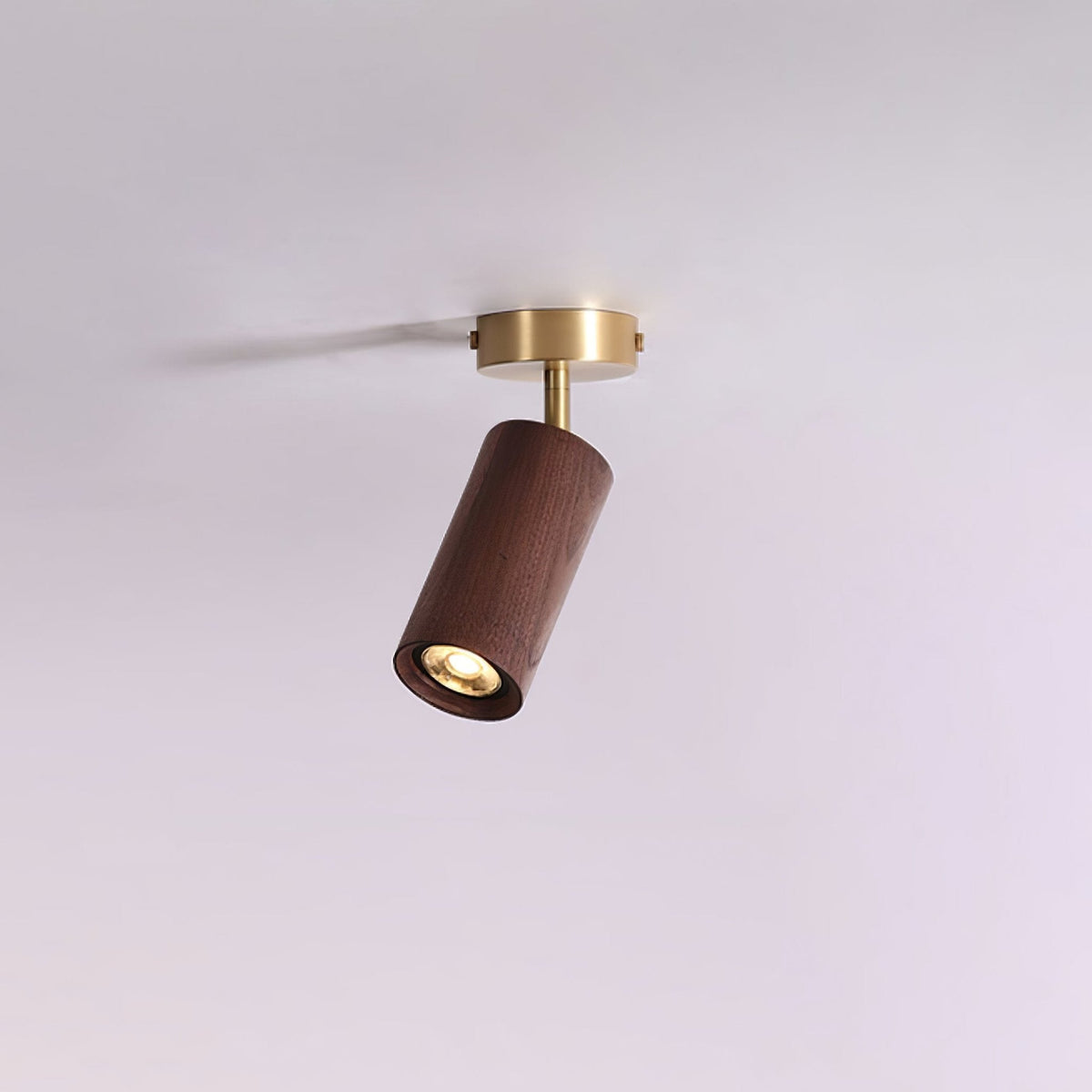 Rowan Ceiling Light