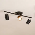 Evanna Ceiling Light
