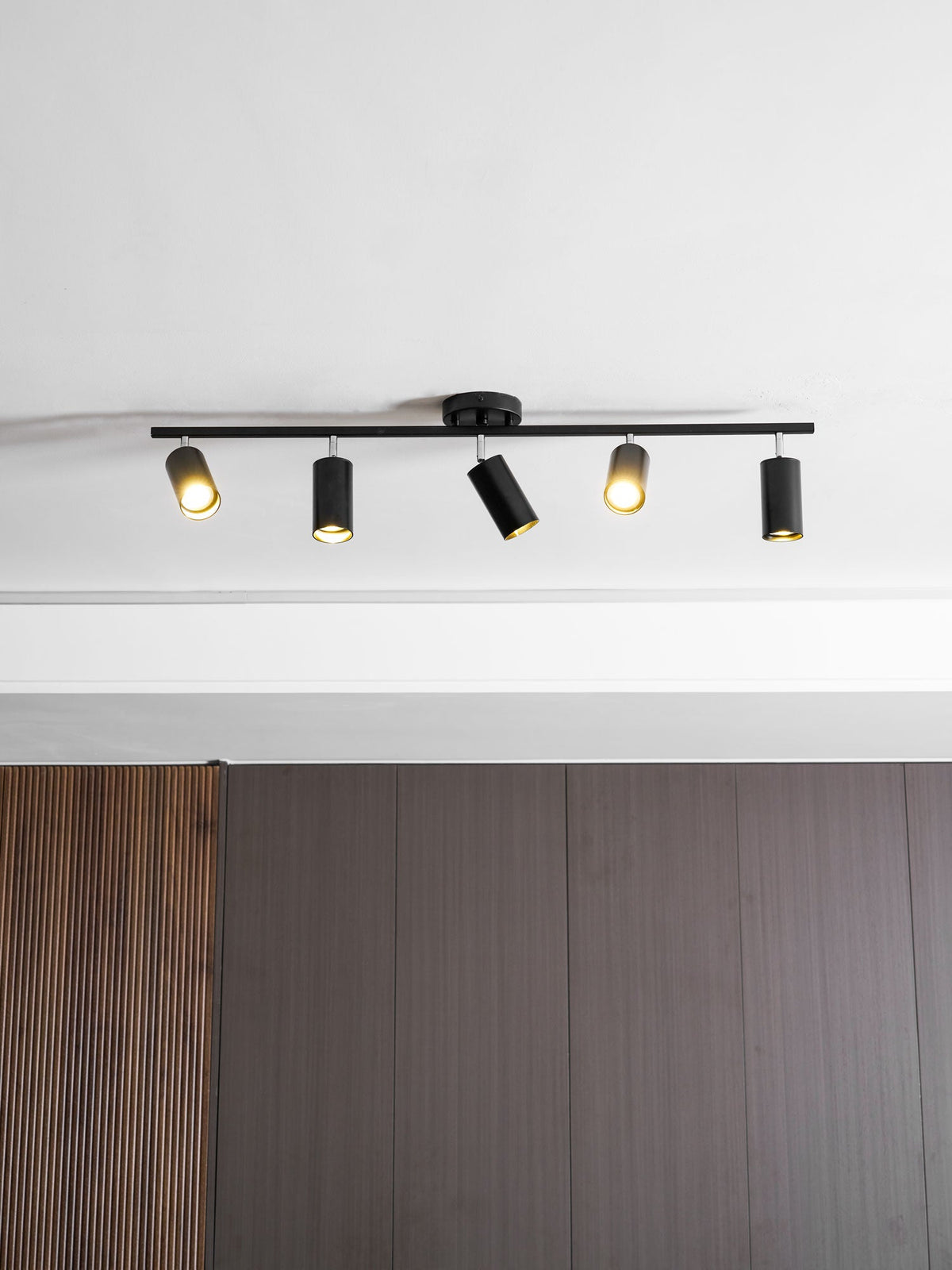 Evanna Ceiling Light