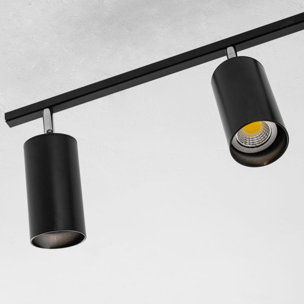 Evanna Ceiling Light