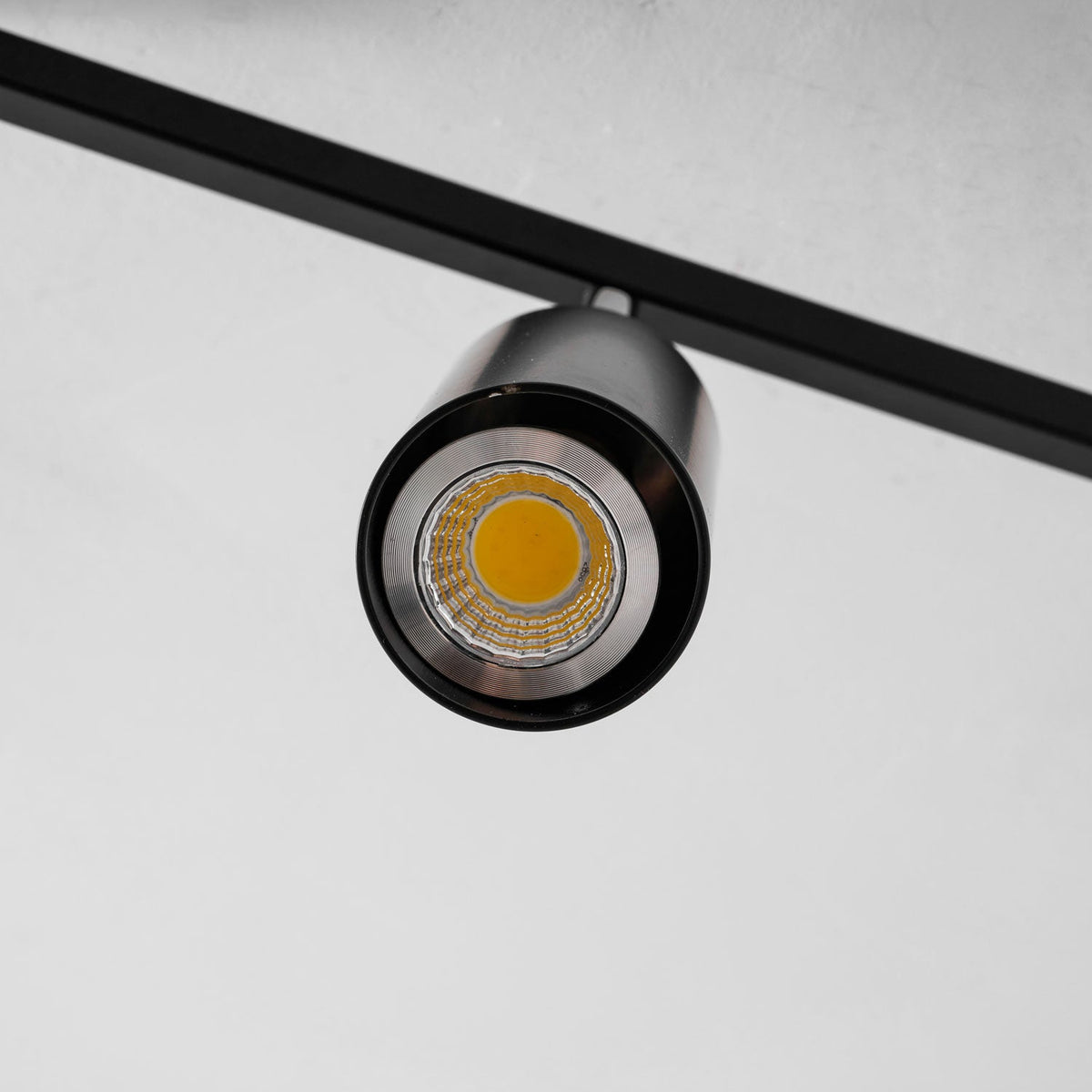 Evanna Ceiling Light