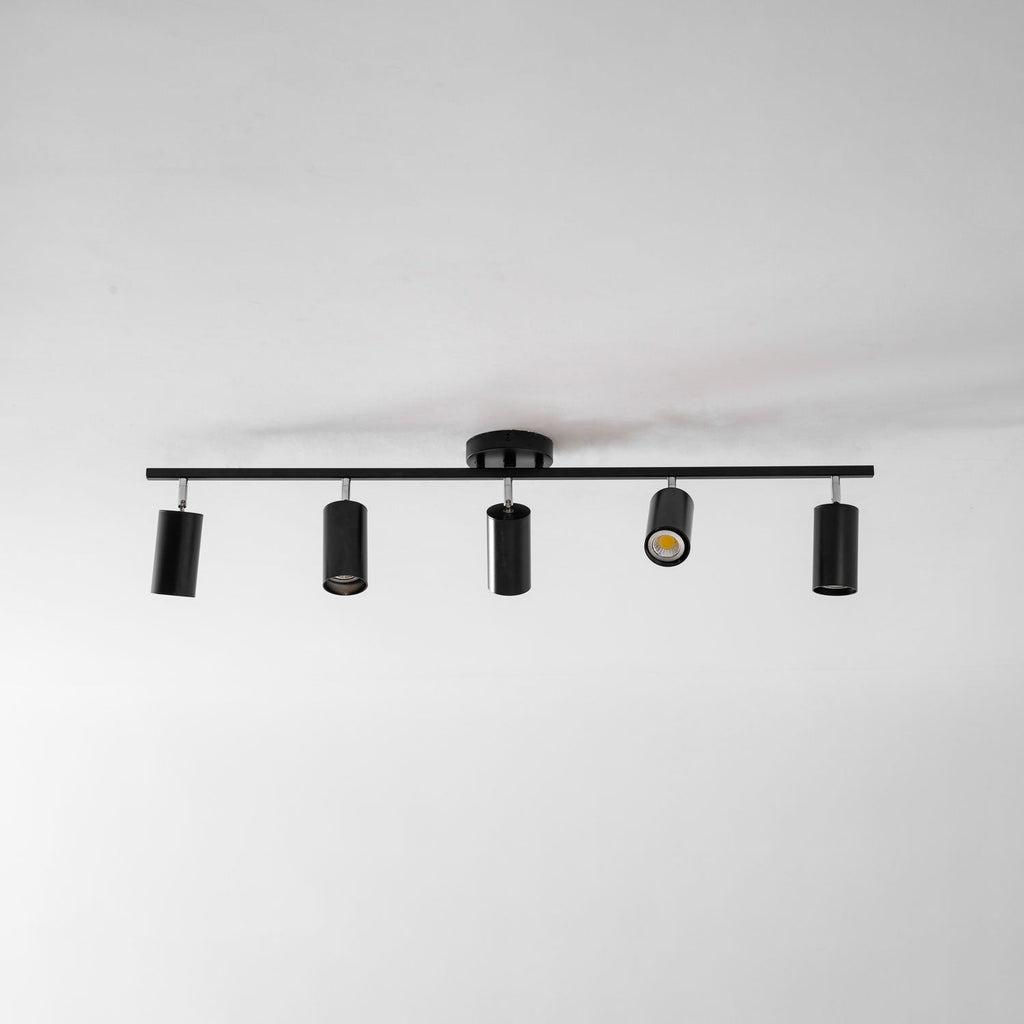 Evanna Ceiling Light