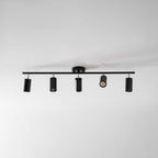 Evanna Ceiling Light