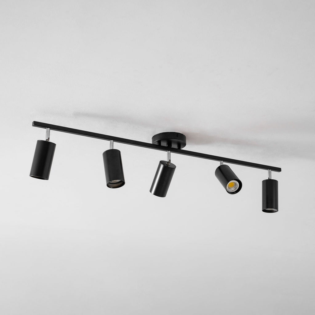 Evanna Ceiling Light