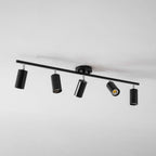 Evanna Ceiling Light