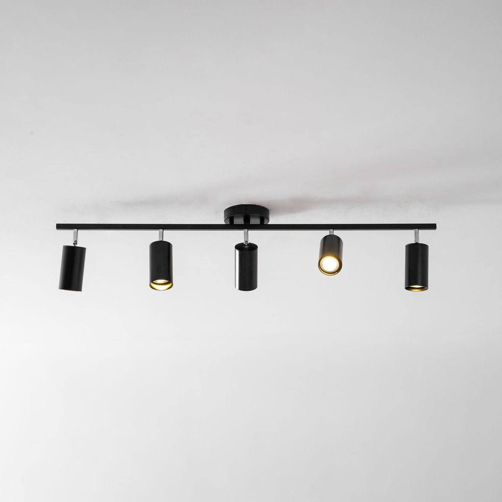 Evanna Ceiling Light