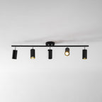 Evanna Ceiling Light