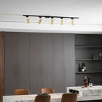 Gilded Rail Track Light