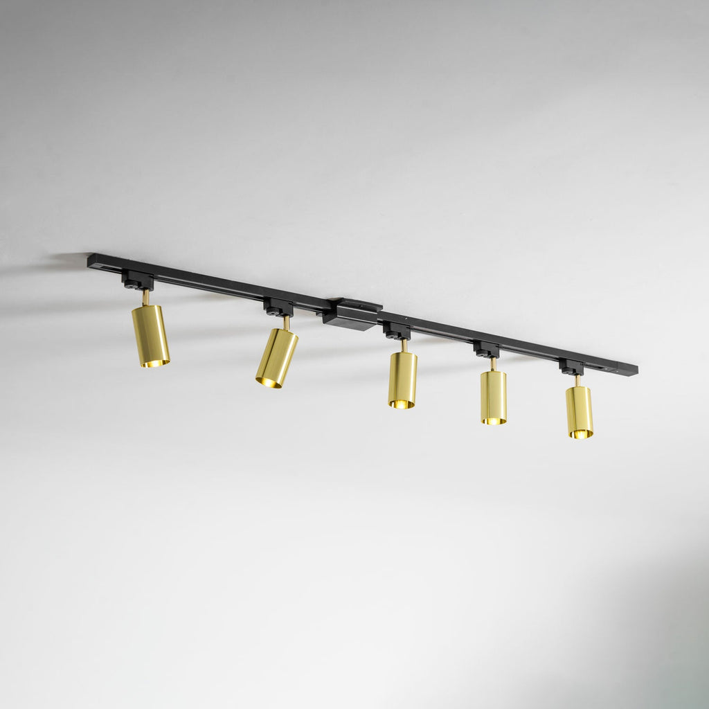 Gilded Rail Track Light