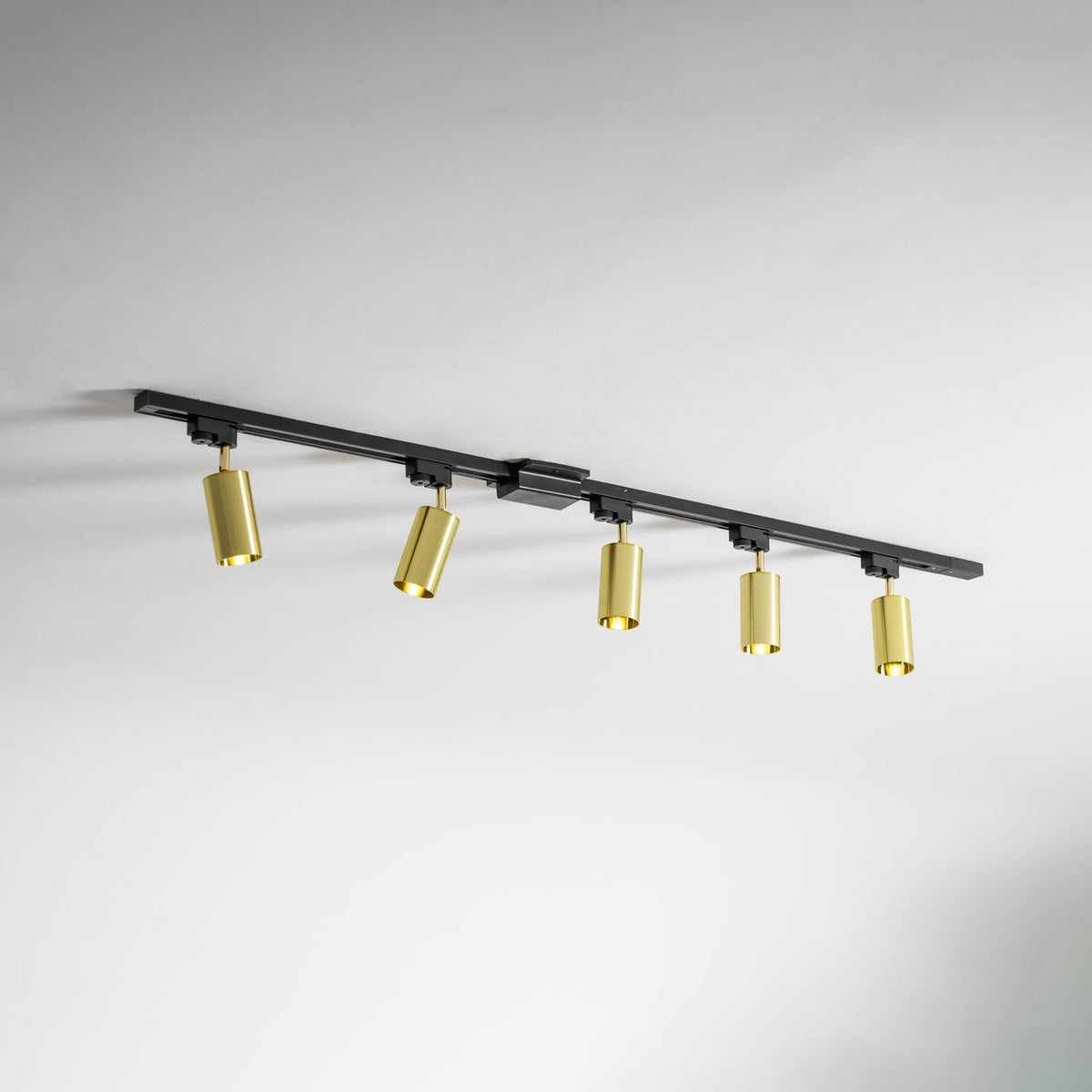 Gilded Rail Track Light