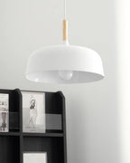 Acorn Pendant Light