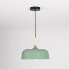 Acorn Pendant Light