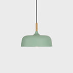 Acorn Pendant Light