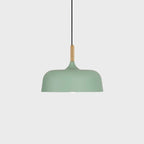 Acorn Pendant Light