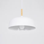 Acorn Pendant Light