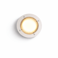 Halo Grid Ceiling Light